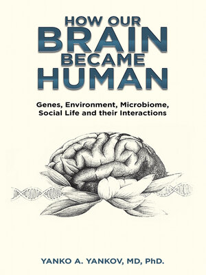 cover image of How Our Brain Became Human
